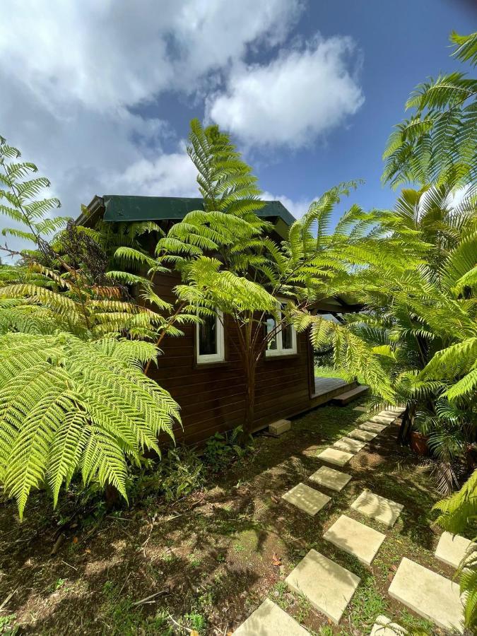 Bungalow A Flanc De Colline Villa Le Morne-Rouge Exterior photo